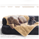 Zwei Hunde auf einem schwarzen Sofa: ein schlafender grauer Weimaraner unter einer beigen Decke und ein kleiner schwarzer Pudel daneben.