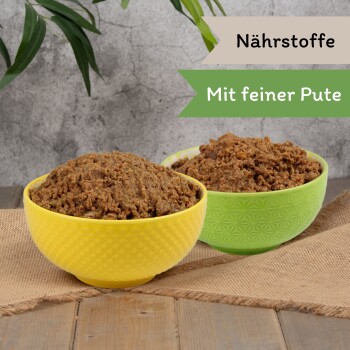 Eine Edelstahlschüssel für Haustierfutter, gefüllt mit hochwertigem Nassfutter für Katzen, auf einer Holzoberfläche mit grünem Gras im Hintergrund.