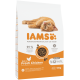 IAMS Kitten-Trockenfutterbeutel mit liegendem orangefarbenem Kätzchen; 'Reich an frischem Huhn', 'Kitten 1–12 Monate', 10 kg.