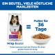 Hill's Science Plan Sensitive Stomach & Skin Hundefutter 14 kg Beutel, füttert einen 30 kg Hund 36 Tage lang, mit einer Schüssel Trockenfutter.