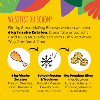 Gelbe Tierfutter-Infografik: 'WUSSTEST DU SCHON?' SmoothieDog Bites — ~6 kg frische Zutaten ergeben 1 kg; Symbole: Hähnchenkeule, -40° Schneeflocke, '1 kg Premium-Bites'