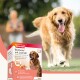 Ein Golden Retriever, der auf Gras läuft, mit einer Box von Beaphar 'Bonbons' mit Lachsöl, die Lachsöl, Omega 3 & 6 enthält.