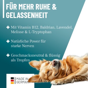 Ein entspannter Golden Retriever schläft, mit Text, der ein Nervenunterstützungsprodukt mit Vitamin B12 und anderen beruhigenden Inhaltsstoffen bewirbt.