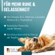 Ein entspannter Golden Retriever schläft, mit Text, der ein Nervenunterstützungsprodukt mit Vitamin B12 und anderen beruhigenden Inhaltsstoffen bewirbt.