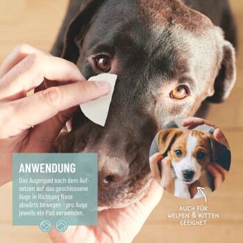 Eine Person trägt ein Augenpad für Haustiere auf das geschlossene Auge eines braunen Hundes auf. Der Text lautet "ANWENDUNG" mit deutschen Anweisungen und Hinweisen für Welpen und Kätzchen.