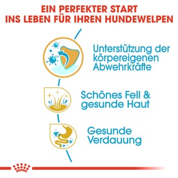 Infografik mit dem Titel "Ein perfekter Start ins Leben für Ihren Hundewelpen" hebt die Unterstützung des Immunsystems, ein gesundes Fell und eine gute Verdauung hervor.