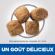 Quatre morceaux de croquettes brunes en cercle, avec du texte en dessous : "UN GOÛT DÉLICIEUX" et "Taille approximative 22 x 17mm."