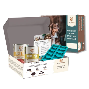 Wildfang Hundefutter-Starterset mit Dosenrind und Huhn, Rezeptkarte und blauer knochenförmiger Form in offener Box.