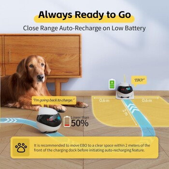 EBO, ein robotischer Haustierassistent, zeigt "Unter 50%" auf einem Holzboden in der Nähe seiner Ladestation, während ein Hund in der Nähe ruht.
