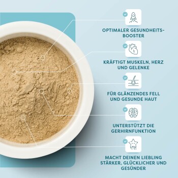 Schüssel mit Nahrungsergänzungsmittel-Pulver mit Vorteilen: stärkt die Gesundheit, kräftigt die Muskeln, unterstützt die Gelenke, fördert ein glänzendes Fell, verbessert die Gehirnfunktion.