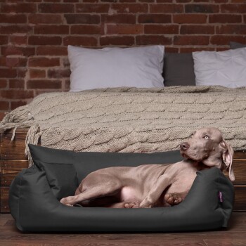 Ein entspannter Hund liegt in einem gemütlichen schwarzen Hundebett, vor einer rustikalen Ziegelwand und einem ordentlich gemachten Bett mit einer gestrickten Decke.