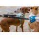 Zwei Hunde stehen nebeneinander, einer trägt ein grünes Geschirr und der andere ein blaues Geschirr, mit einer schwarzen Ruffwear-Leine im Fokus.