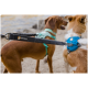 Zwei Hunde stehen nebeneinander, einer trägt ein grünes Geschirr und der andere ein blaues Geschirr, mit einer schwarzen Ruffwear-Leine im Fokus.