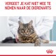 Een fluffy tabby kat zit op een onderzoekstafel, voorzichtig vastgehouden door een dierenarts, met tekst erboven: 'Vergeet niet je kat naar de dierenarts te brengen.'