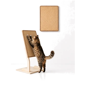 Getigerte Katze, die sich streckt und an einem freistehenden Sisal-Kratzbaum kratzt; oberhalb an der Wand montiertes rechteckiges Sisalpolster, weißer Hintergrund.