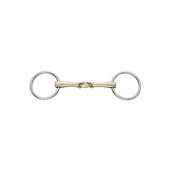 Ein silberner und goldener Pferdegebiss mit zwei Ringen an jedem Ende, entworfen für den Reitsport.