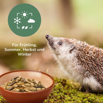 Ein Igel steht neben einer braunen Schüssel, die mit Haustierfutter gefüllt ist, mit dem Text "Für Frühling, Sommer, Herbst und Winter" darüber.