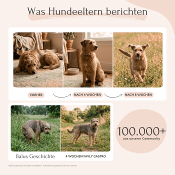 Eine Frau hält einen Beagle inmitten grüner Blätter, mit dem Text: "Besonders gut verträglich," "Sehr hohe Akzeptanz," und "Tausende glückliche Hundeltern."