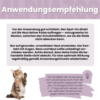 Anleitung für Katzenflohspray und Zeckenspray auf Deutsch mit einem getigerten Kater, der eine Pfote hebt.