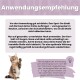 Anleitung für Katzenflohspray und Zeckenspray auf Deutsch mit einem getigerten Kater, der eine Pfote hebt.