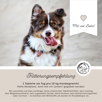 Ein glücklicher braun-weißer Hund mit einer rosa Zunge und einem Halsband. Der Text darunter gibt Fütterungshinweise und rät von unnötigen Zusatzstoffen ab.