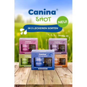 Canina SHOT-Aufsteller: fünf farbenfrohe Shot-Boxen für Haustiere (Move, Detox, Power, Relax, Senior) auf einem Holztisch; sichtbarer Text "NEU!" und "IN 5 LECKEREN SORTEN"