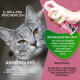 Nahaufnahme einer grauen Katze, Hand sprüht Baviette-Ohrenpflegespray; sichtbarer Text '2- bis 4-mal wöchentlich' und 'Anwendung'.