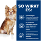 Kleiner braun-weißer Hund sitzt neben deutschem Text über klinisch getestete Faser-Matrix-Technologie und ausgewogenes Haustierfutter.