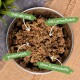 Schale mit zerkleinertem Tierfutter (Lamm) und grünen Etiketten: Vollnahrung, mit Lammfleisch, proteinreich, ohne Zusatzstoffe