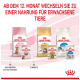 Royal Canin Haustierfutterprodukte: "Kitten Sterilised," "Maine Coon," und "Indoor," mit einem Hinweis, nach 12 Monaten auf Erwachsenenfutter umzusteigen.