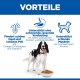 Schwarz-weißer Hund neben Trockenfutterschale unter einem 'VORTEILE'-Banner mit drei blauen Symbolen und deutschem Text über Haut, Verdauung und Muskeln