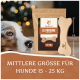 Eine Nahaufnahme des Gesichts eines Hundes neben einem Paket Wildfang Leatherbone Hundekauartikel, gekennzeichnet für mittelgroße Hunde von 15-25 kg, mit einer Größe von 17 cm.