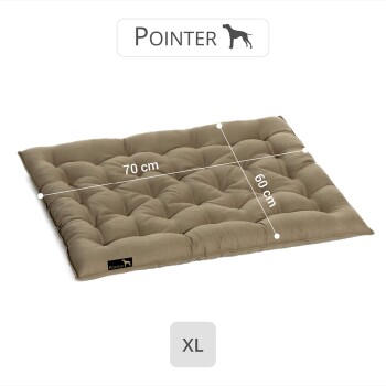 Hundebett von Pointer, Größe XL, misst 70 cm mal 60 cm, aus einem weichen, gepolsterten beigen Stoff.