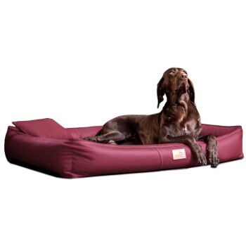 ® CLIFFORD LATEX Orthopädische Hundematratze dunkelrot 1 m, 16 cm, 75 cm