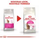 Image de deux sacs de nourriture pour chats Royal Canin, l'un étiqueté "EXIGENT" et l'autre "SAVOUR Exigent," présentant un nouveau look et une nouvelle formule.