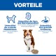 Überschrift 'VORTEILE': Hund mit Schüssel und drei Symbolen — unterstützt schlanke Muskulatur, Herz- und Nierengesundheit, gesunde Verdauung.
