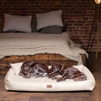 Zwei braune Hunde schlafen auf einem cremefarbenen Haustierbett in einem gemütlichen Raum mit einer Ziegelwand und einem Holzbett im Hintergrund.