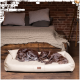 Zwei braune Hunde schlafen auf einem cremefarbenen Haustierbett in einem gemütlichen Raum mit einer Ziegelwand und einem Holzbett im Hintergrund.