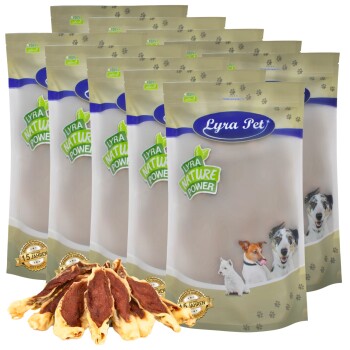 Verpackung von Lyra Hundeleckerlis: beige Tüte mit grünem "Lyra Nature Power"-Etikett, mit Bildern eines Hundes, einer Katze und Leckerlis vorne.