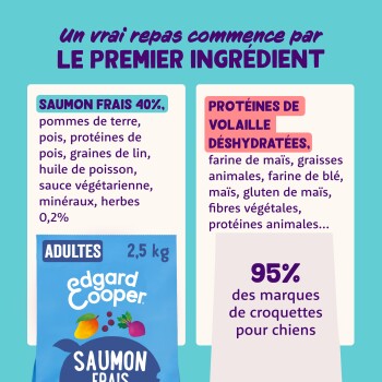 Sac de nourriture pour chiens adultes Edgard & Cooper 'Saumon' 2,5 kg ; montre 'Un vrai repas commence par LE PREMIER INGRÉDIENT', 'Saumon frais 40 %', '95 %'.