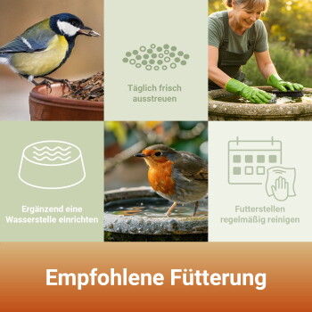 Collage von Gartenvögeln, Vogelbad und einer Person beim Reinigen - Text: Empfohlene Fütterung; Täglich streuen; Wasser hinzufügen; Futterstellen reinigen