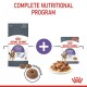 Image of Royal Canin's "Care Appetite Control" cat food: dry kibble bag, wet food pouch, and plate. Text: "COMPLETE NUTRITIONAL PROGRAM."