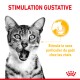 Nahaufnahme einer überraschten getigerten Katze mit offenem Mund, mit dem Text "STIMULATION GUSTATIVE" und einer Grafik zur Geschmacksstimulation.