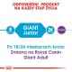 Etykieta dla karmy dla psów Royal Canin Giant Junior, dla psów w wieku 8-24 miesięcy; przejście na Giant Adult po 18 miesiącach.