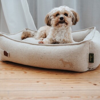 Kleiner, flauschiger beige-weißer Hund liegt in einem beigen Hundebett mit "HUNTER"-Etikett und Hundesilhouette auf einem Holzboden.