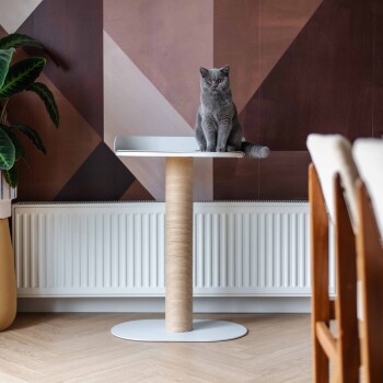 Eine graue Katze sitzt auf einem modernen Katzenbaum mit einer weißen Plattform und einem kratzbaum in Naturfarbe, vor einer geometrischen Wand.