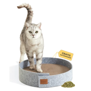Eine flauschige graue Katze steht auf einem runden, filzartigen Kratzbaum mit einem Kartonmittelstück. Ein Etikett liest "GRATIS KATZENMINZE" neben einem Haufen Katzenminze.