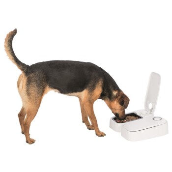 Haustierbedarf Hunde Näpfe & Futterautomaten Futterautomaten & Co Hunde Intelligenz Spielzeug 