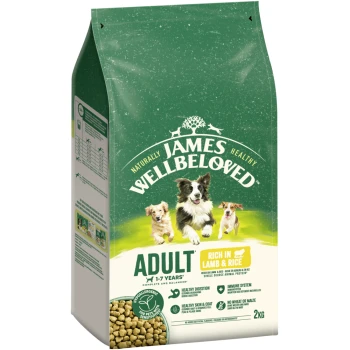 Lamm & Reis 2 kg Grüne Tüte James Wellbeloved Hundefutter für Erwachsene, reich an Lamm & Reis, hypoallergen, 2 kg, mit Bildern von drei Hunden.