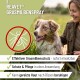 REAVET Grasmilben Spray, 500ml, ein 2-in-1-Abwehrmittel für Hunde mit Mandelöl, bietet aktiven Schutz gegen Milben und Hautreizungen.
